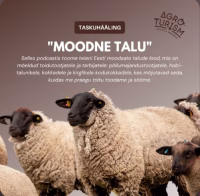 Moodne talu taskuhäälingute tunnuspildil on lambad